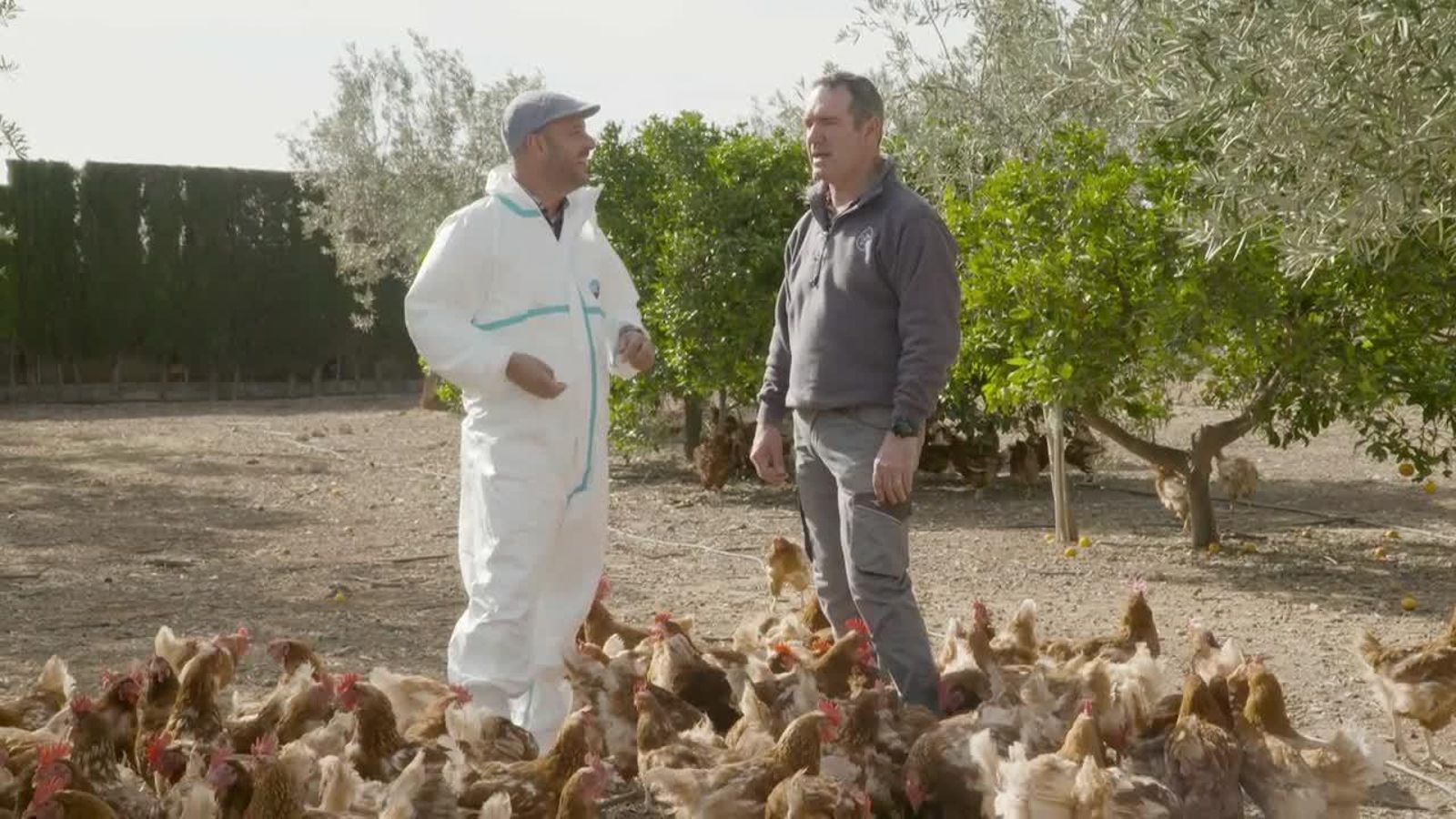 Llíria: ous de corral amb carabassa i sobrassada