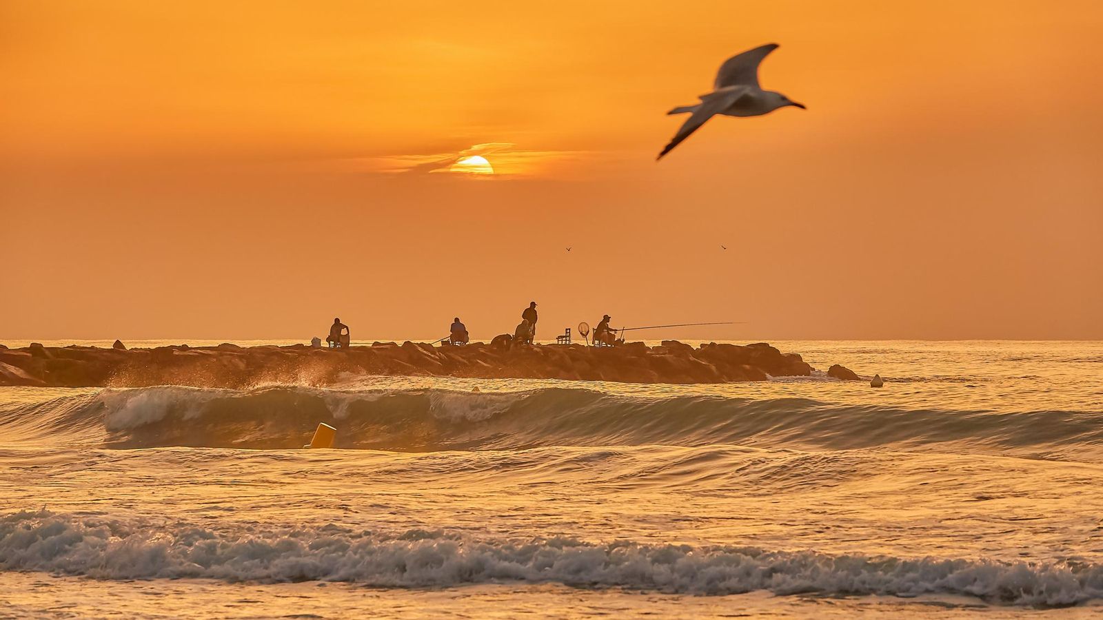 PORT SAPLATJA, ALBORAIA