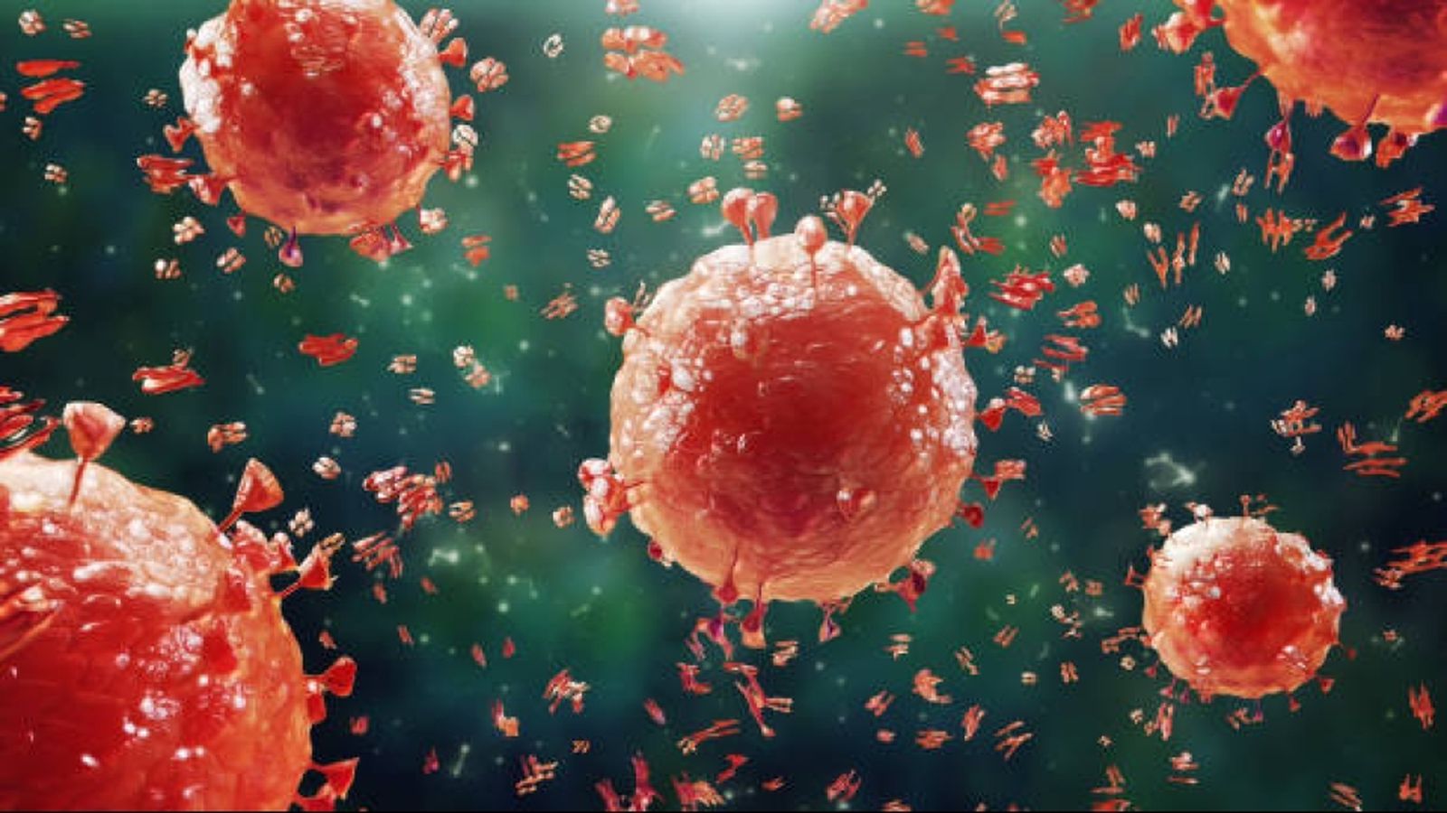 Imatge simulada de l'aspecte d'un virus de tipus Orthopoxvirus