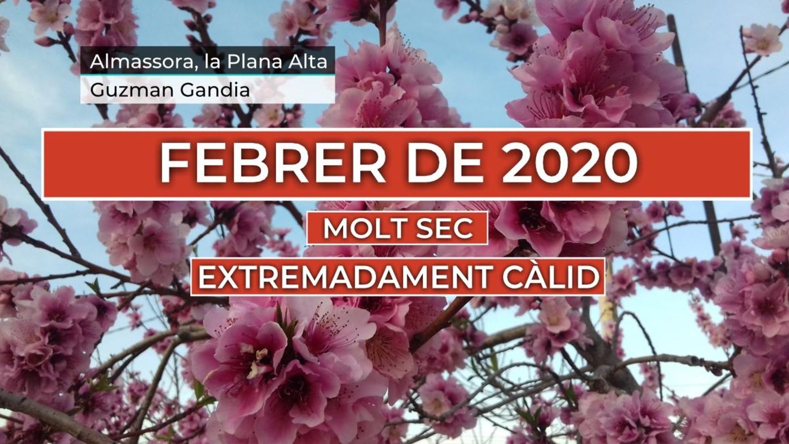Febrer de 2020, extremadament càlid