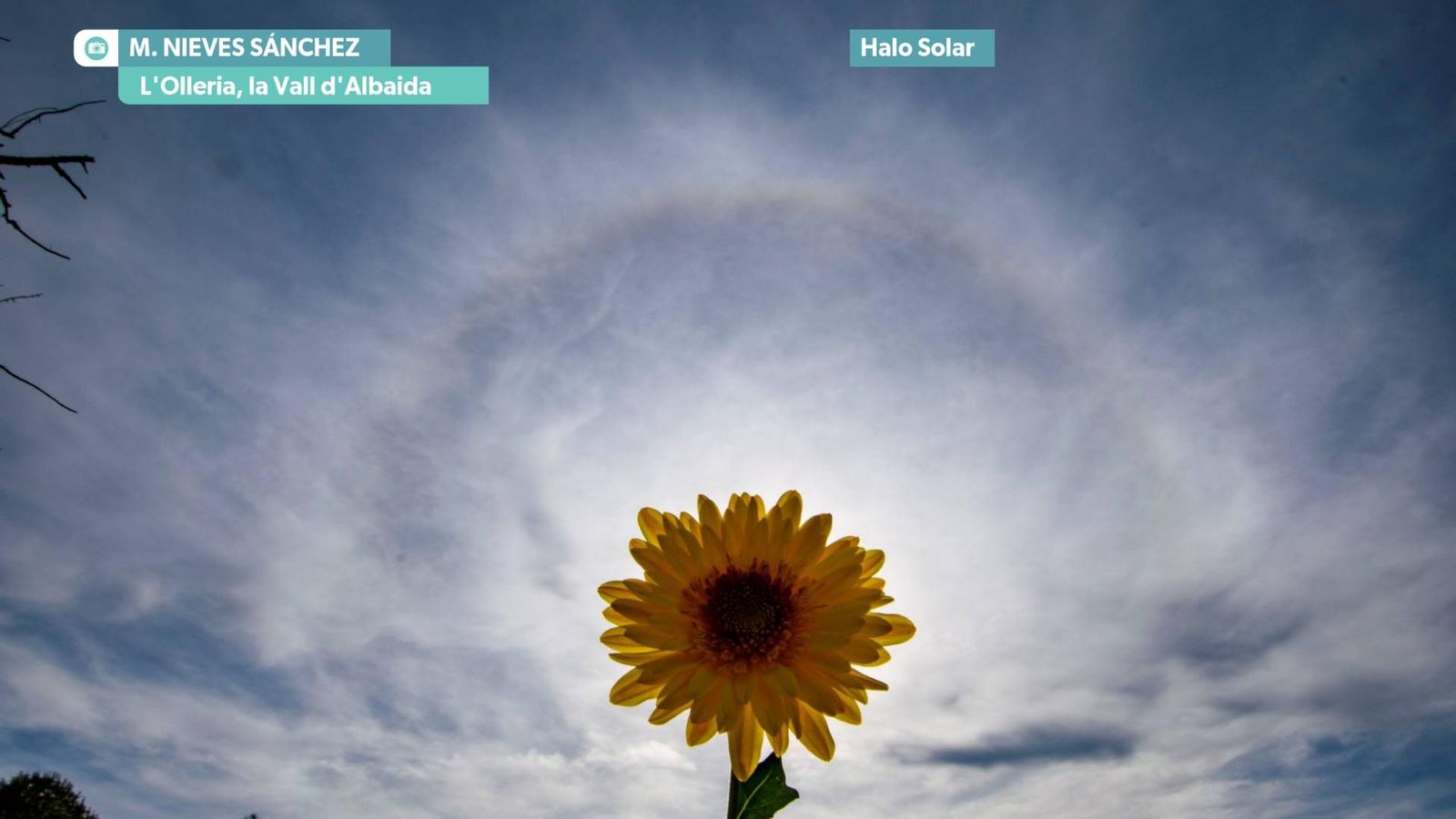 Ponent i més de 24 °C a la costa