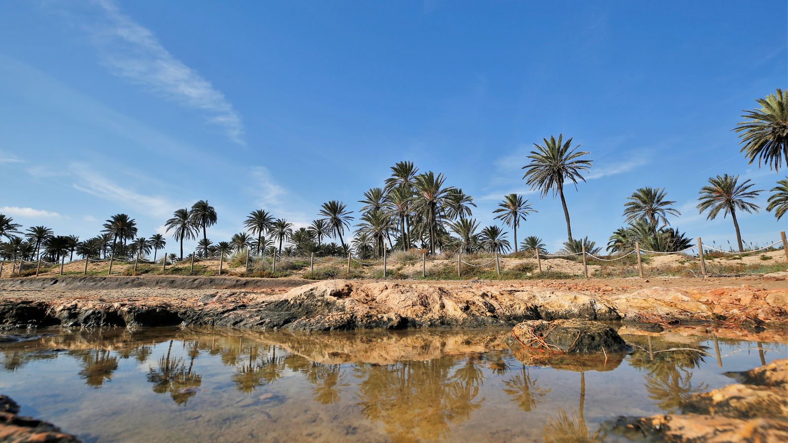 TORREVELLA, EL BAIX SEGURA