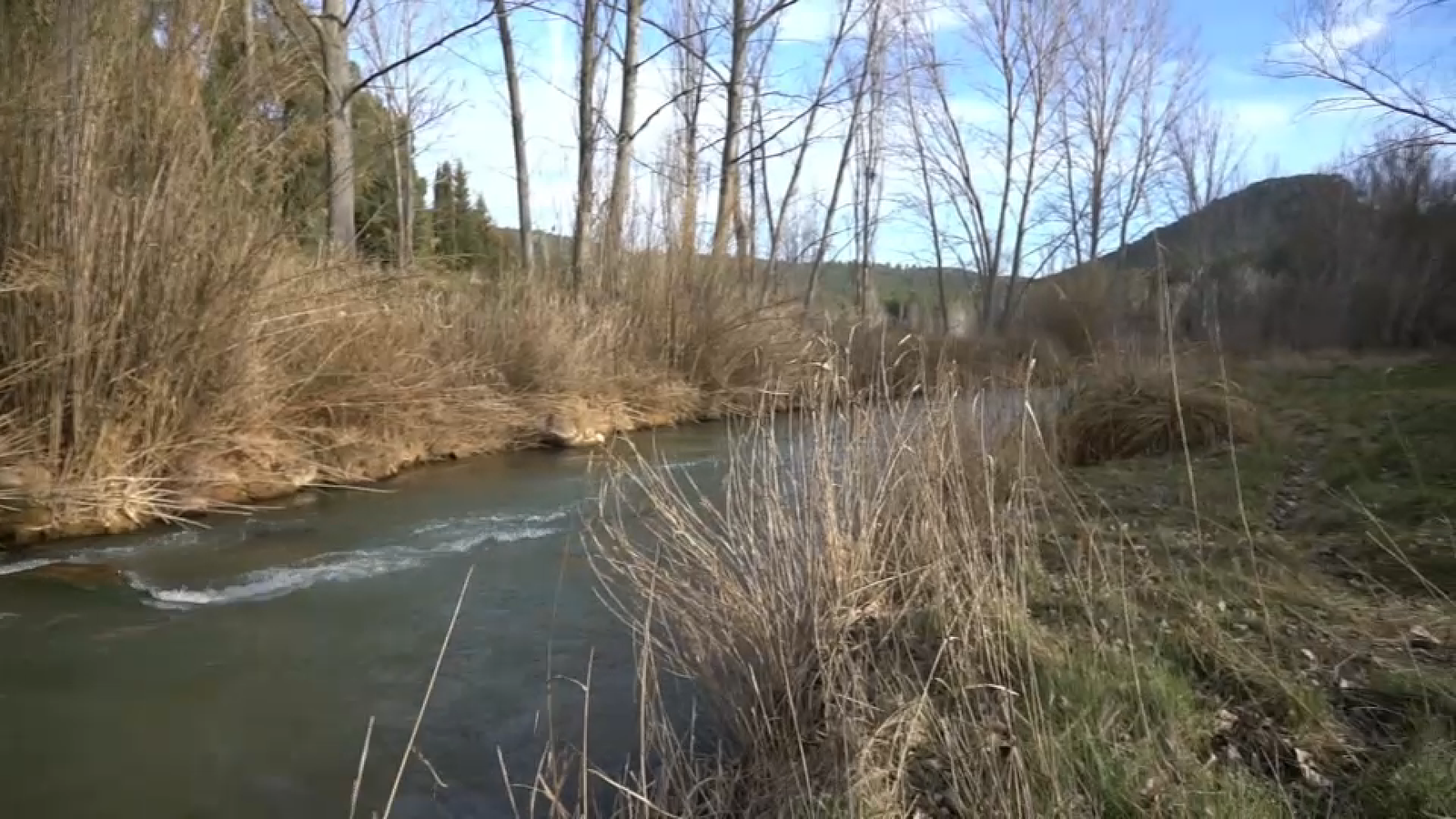 L'enclavaments de l'Alt Túria és reserva biosfera