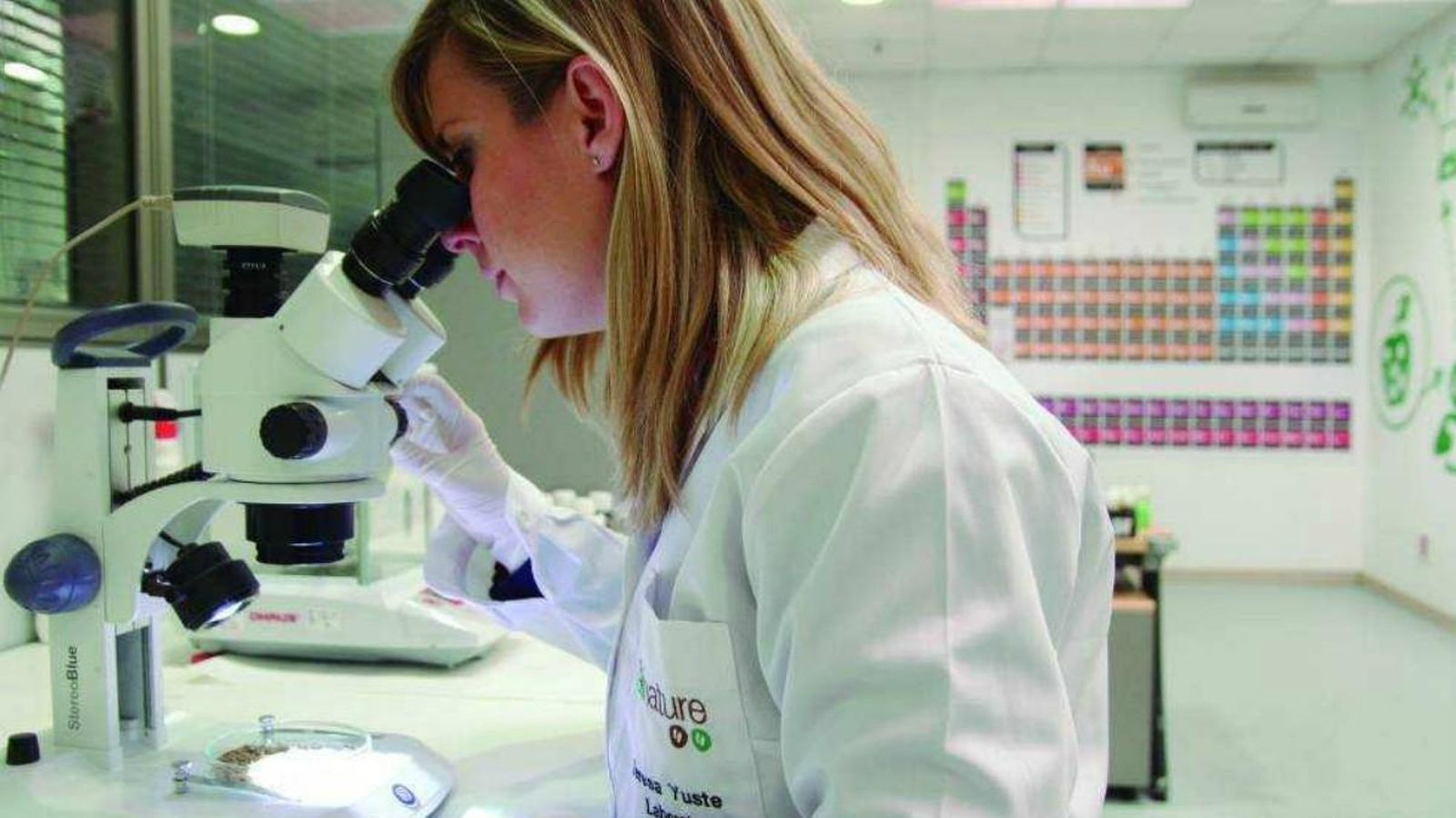 El nou compost contra el morrut és el resultat d'una investigació de tres anys