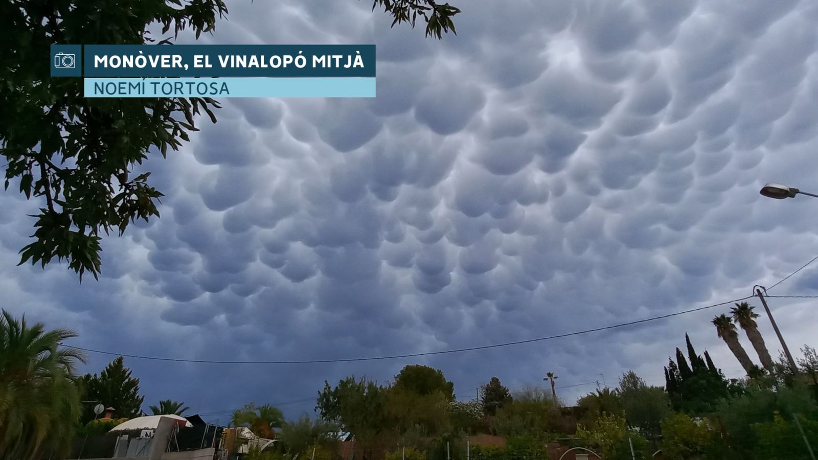 ESTRATOCÚMULS A MONÒVER, AMB CARACTERÍSTICA MAMMATUS