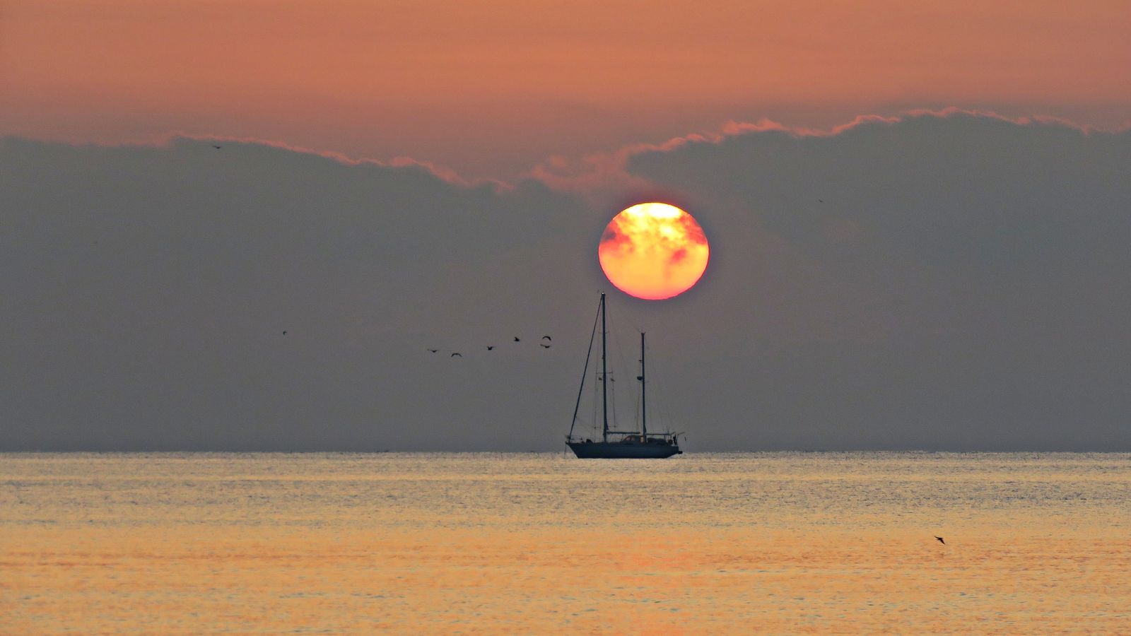 MARÍA GARCÍA GASCÓ