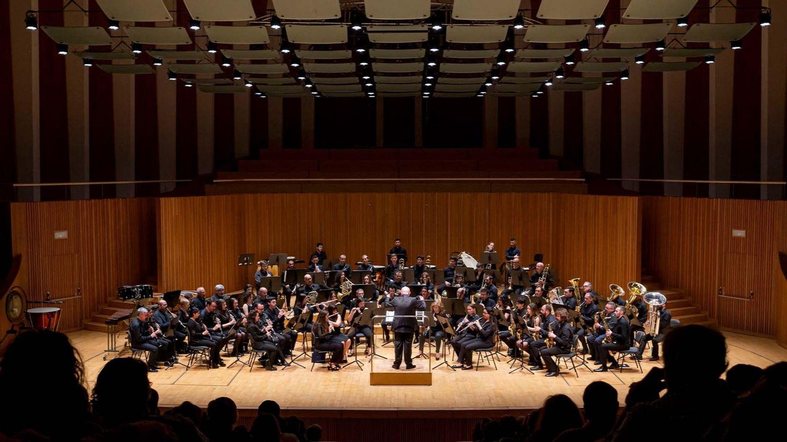 Banda de música a Les Arts Banda de música a Les Arts