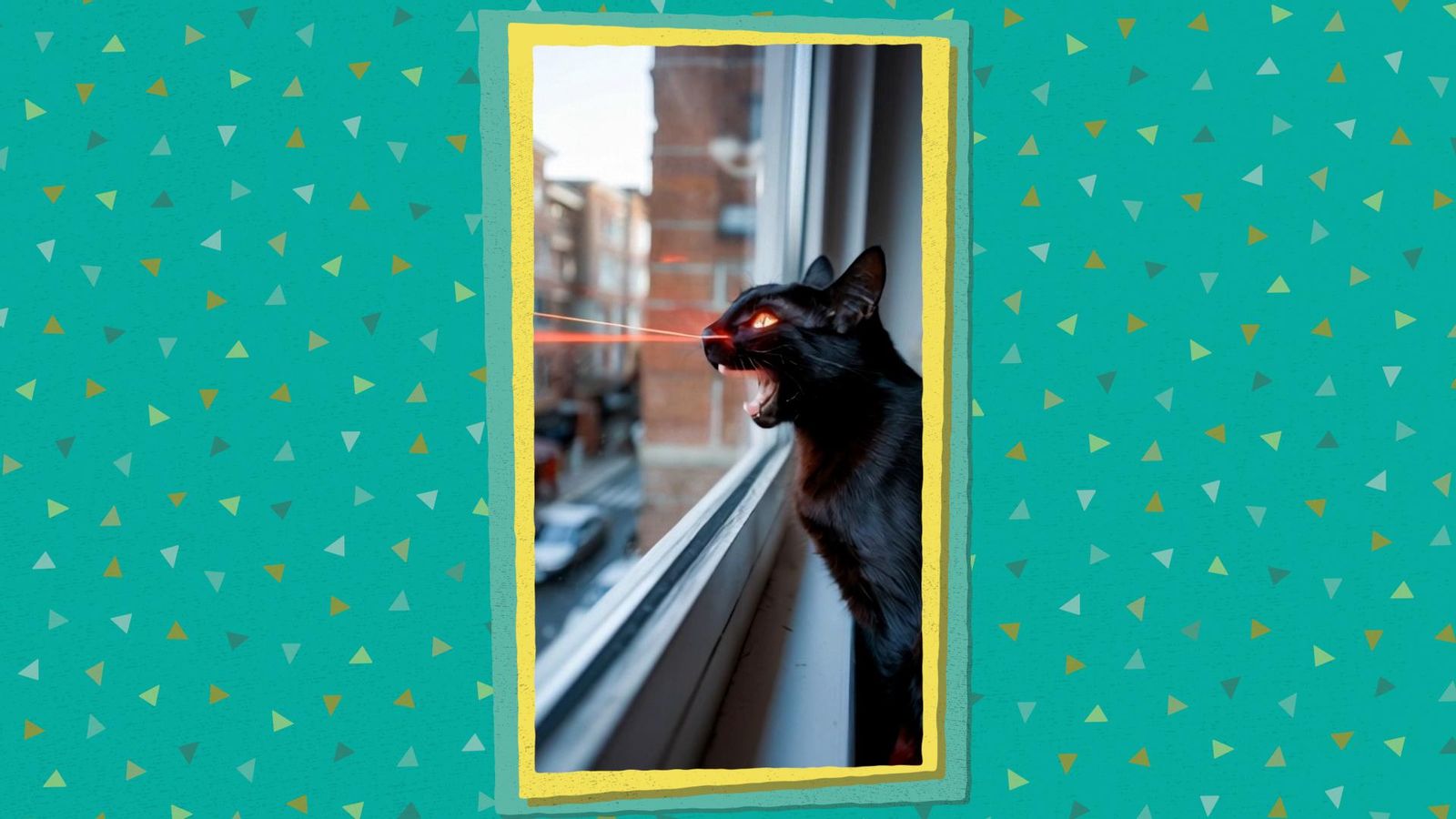 La Colla Virals - Odie els dilluns