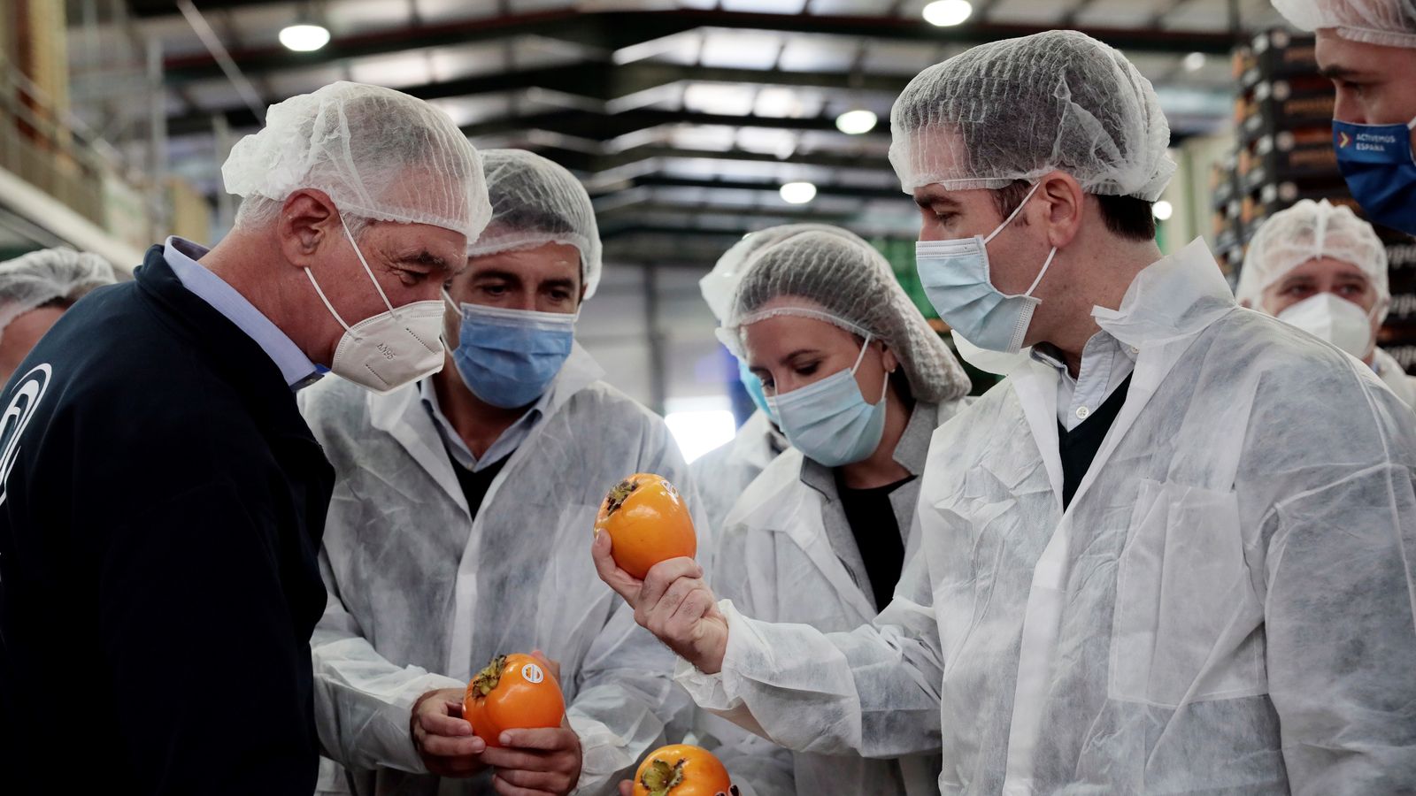 Carlos Mazón, María José Catalá iTeodoro García Egea durant la seua visita a la cooperativa Copal a Algemesí