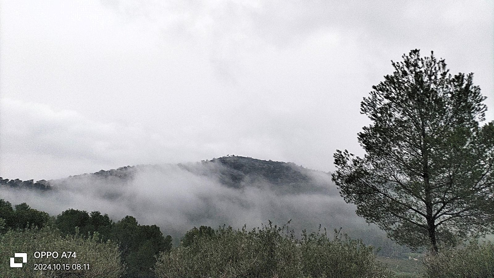 6.MARI CARMEN CERDÀ