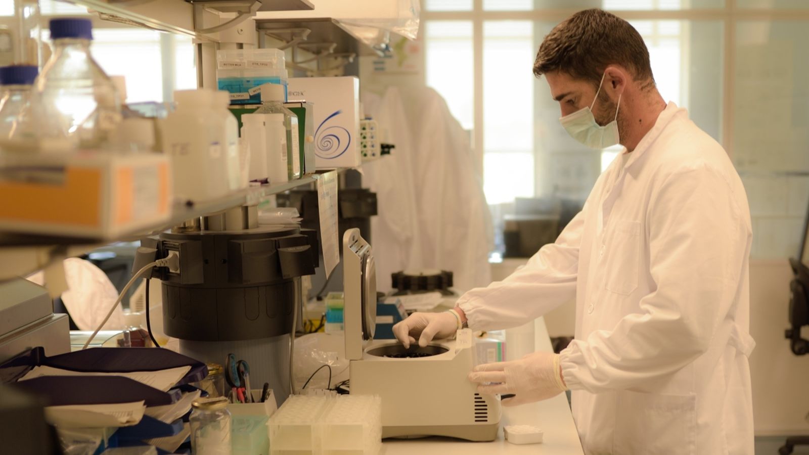 Els investigadors realitzaran estudis comparatius genòmics i transcriptòmics a gran escala