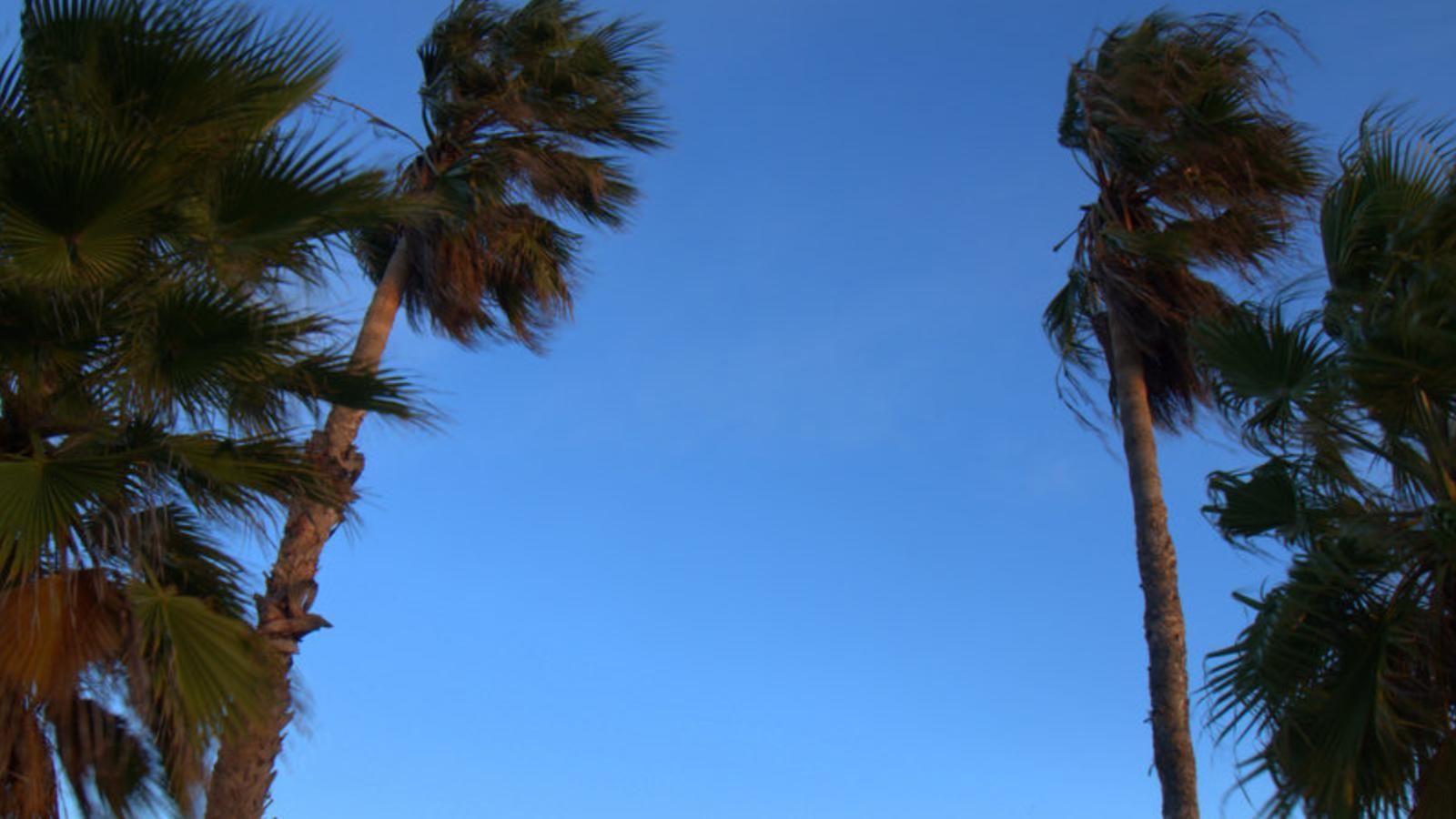 Imatge d'arxiu de la platja de Castelló