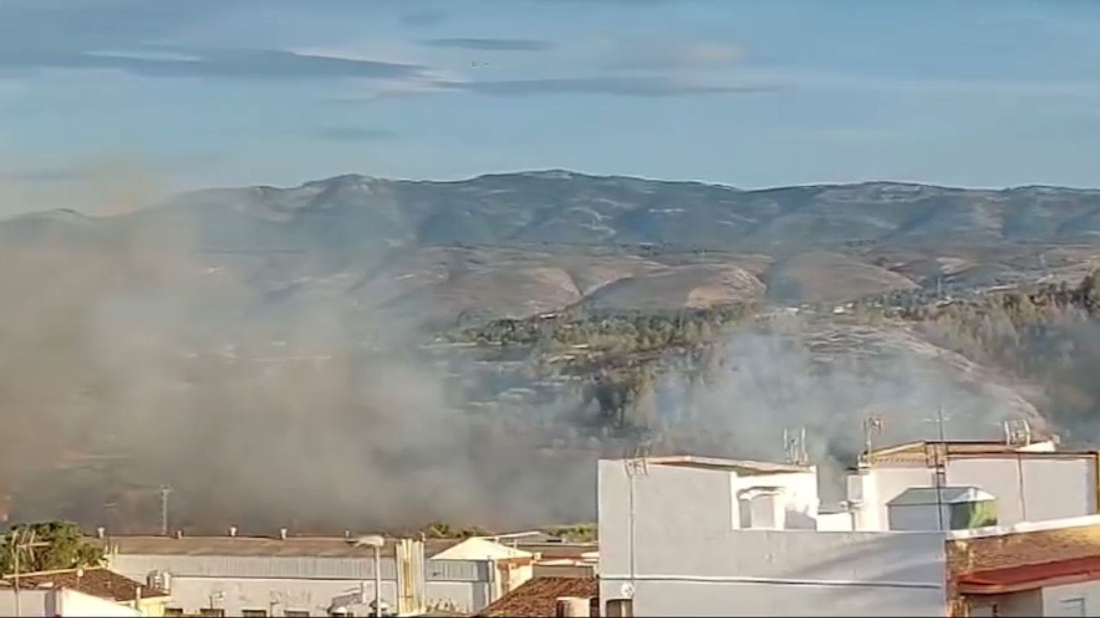 L'incendi d'Aielo de Malferit, originat este diumenge a la vesprada, prop de l'A-7