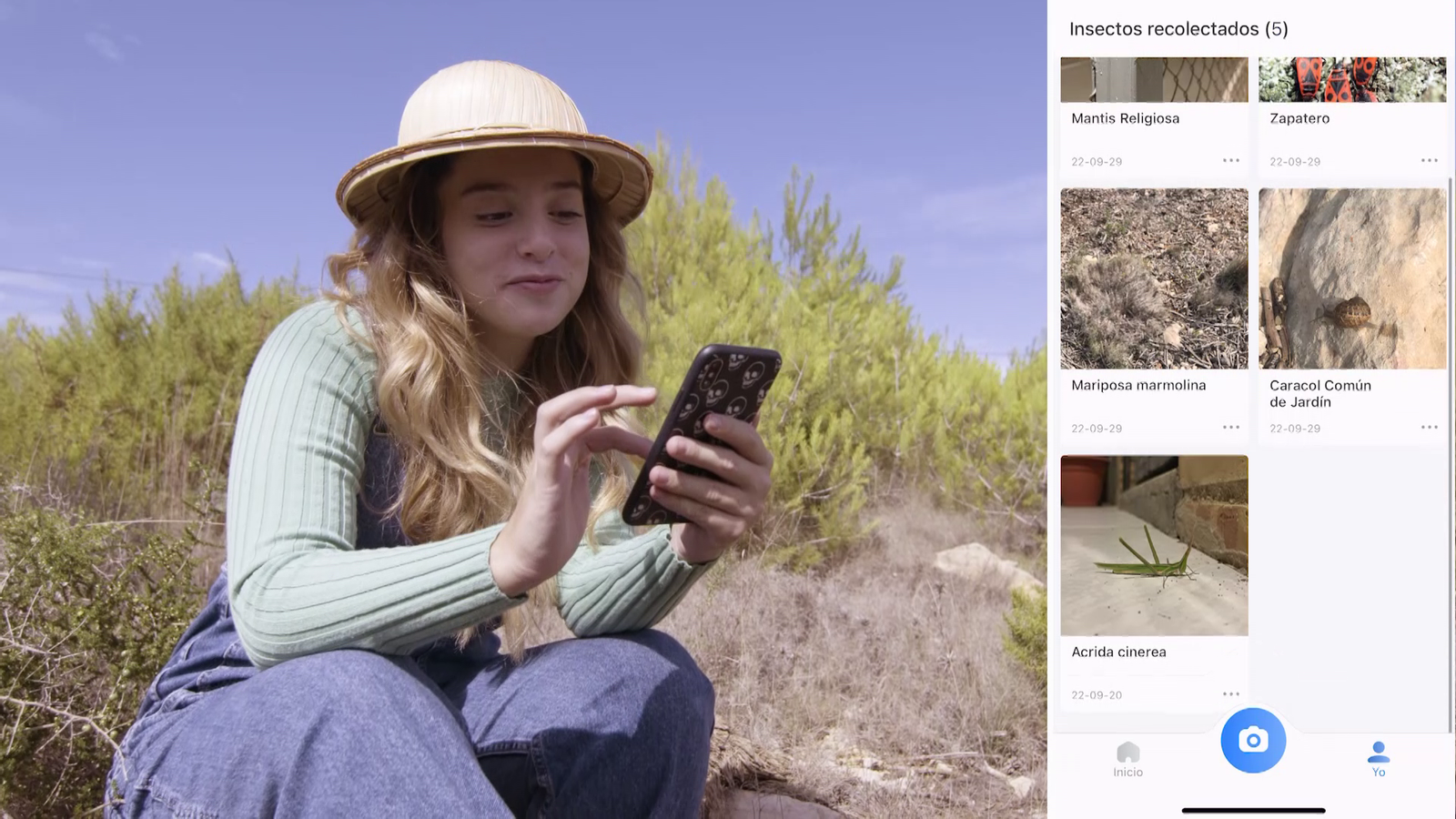 La Colla App | Quin insecte és este?
