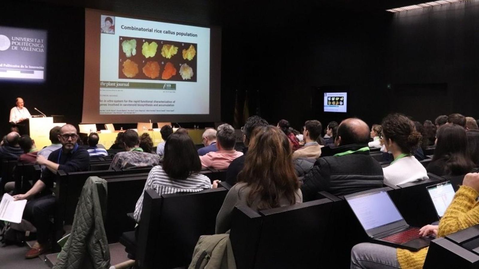 Els últims avanços en molècules xicotetes, a debat a València