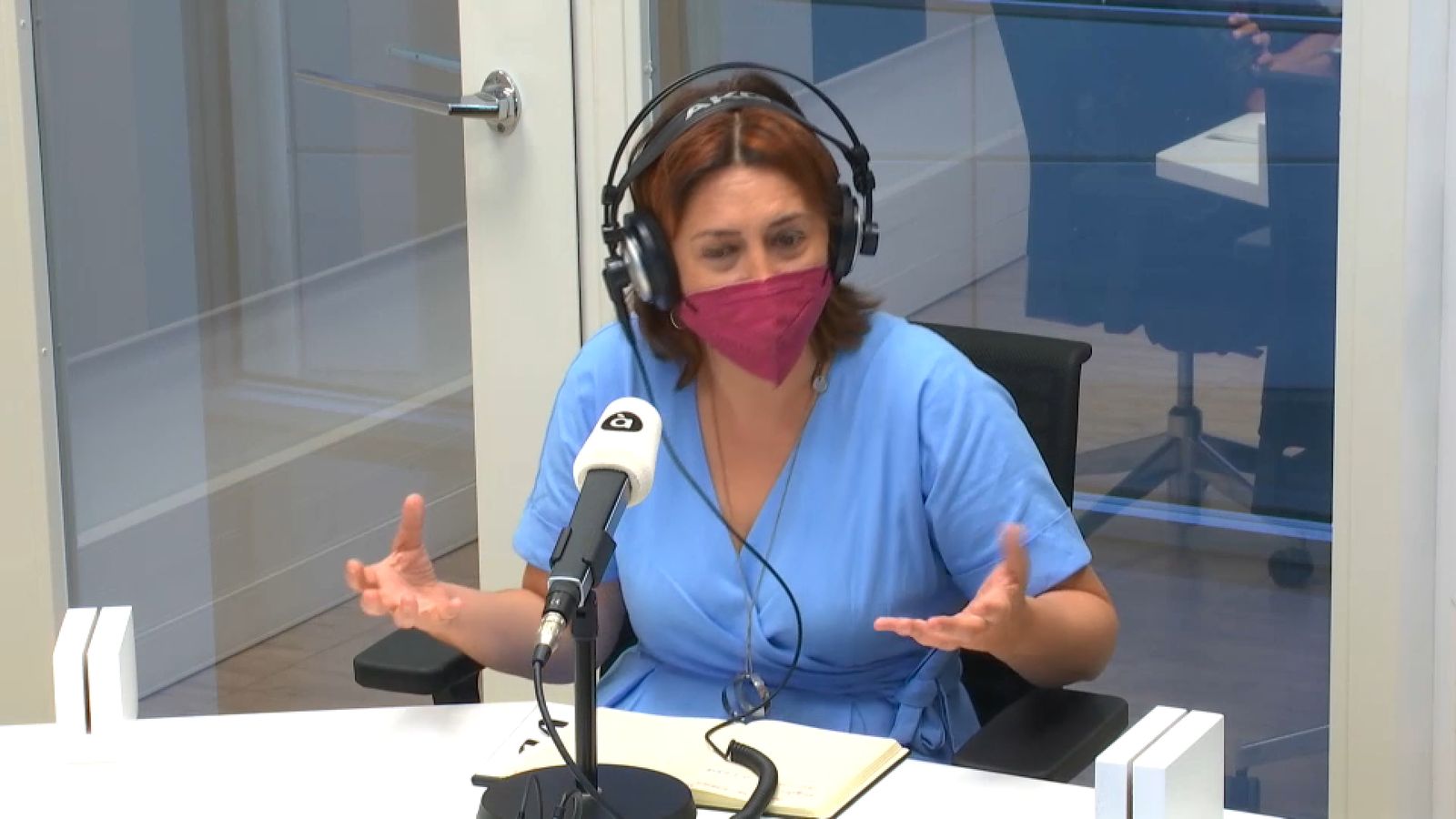 La coordinadora general d'Esquerra Unida, Rosa Pérez Garijo, aquest dimecres en À Punt