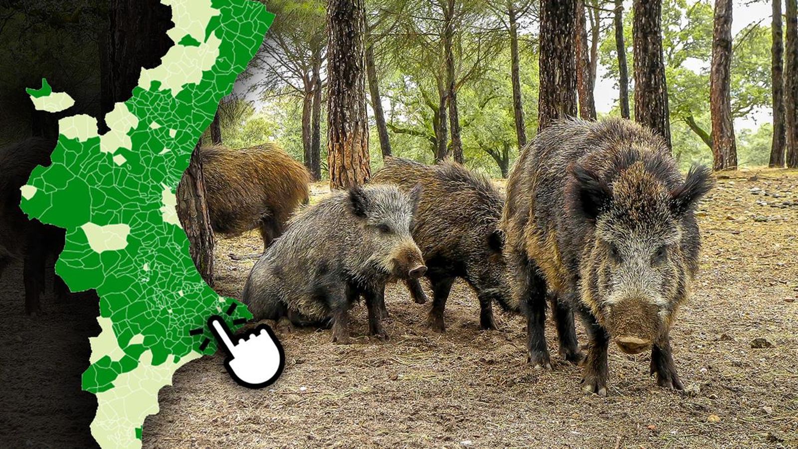 Consulta el mapa interactiu més avall