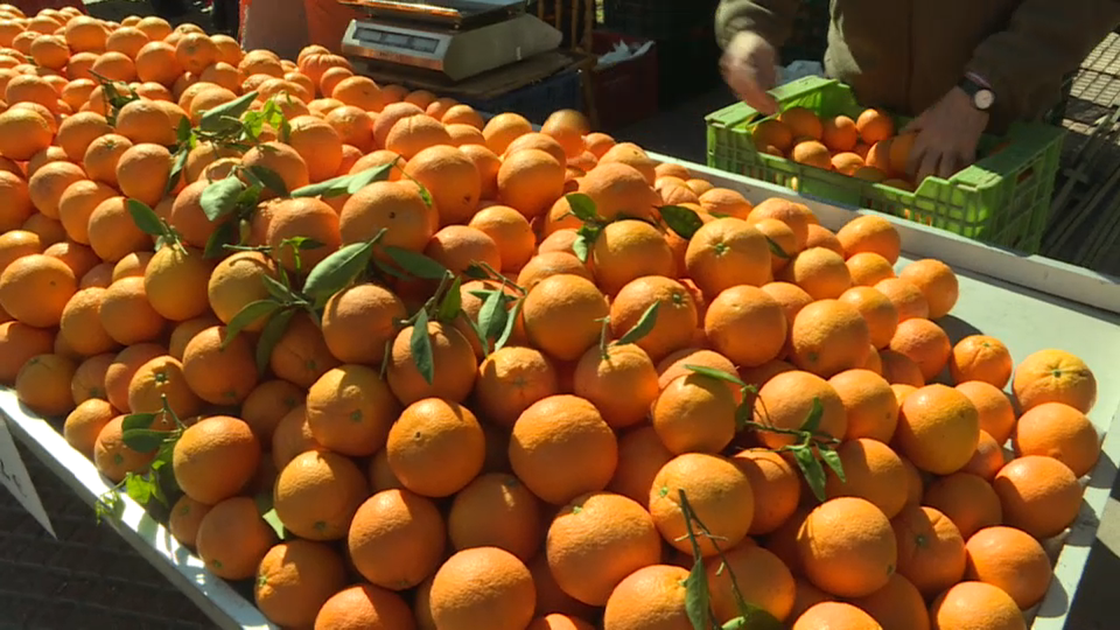 Corfa de taronja per a produir biogàs