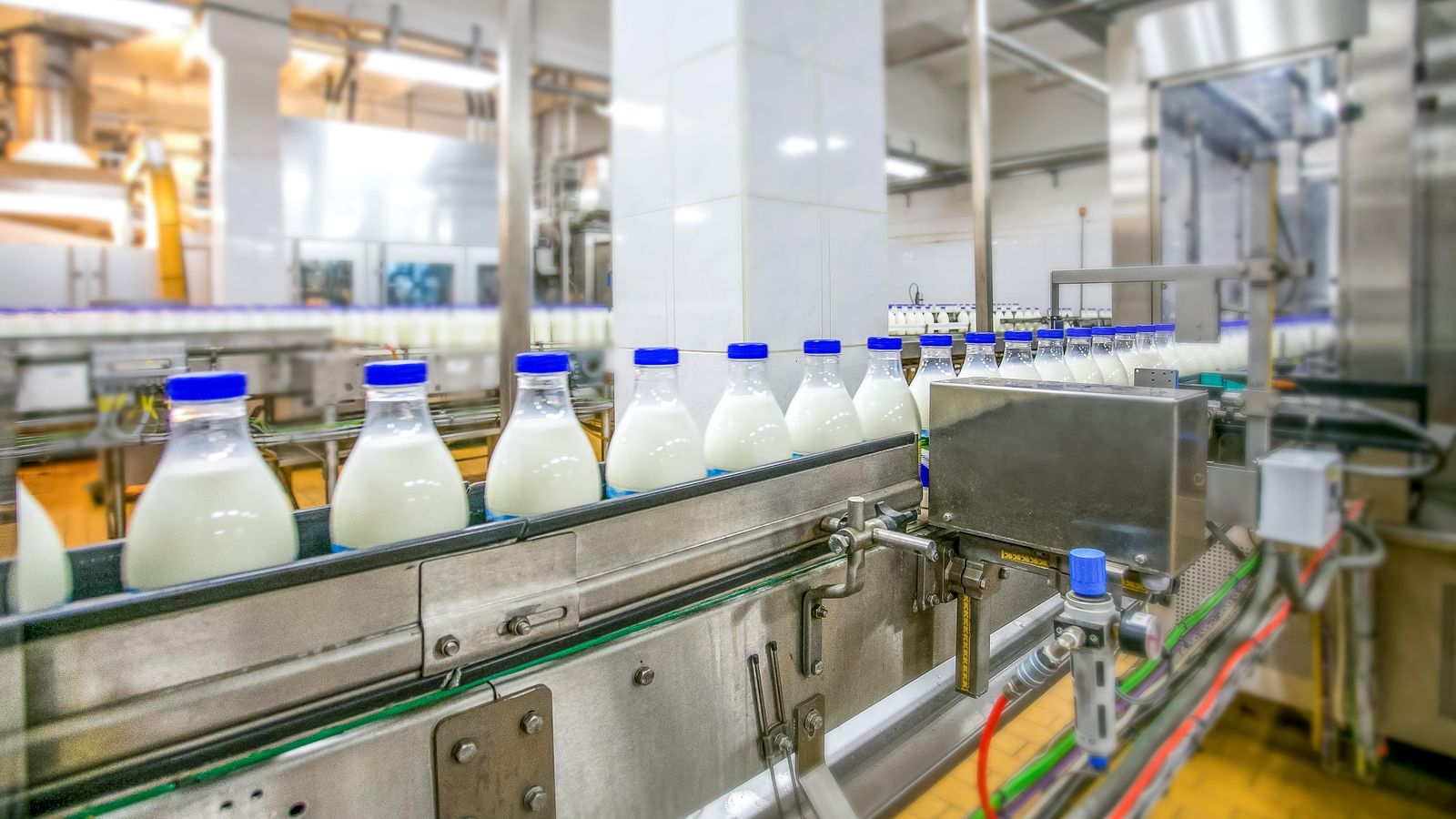Imatge d'arxiu d'una fàbrica de llet embotellada Imatge d'arxiu d'una fàbrica de llet embotellada