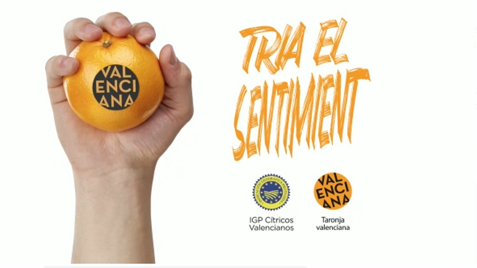 La nova marca que identifica a les taronges valencianes