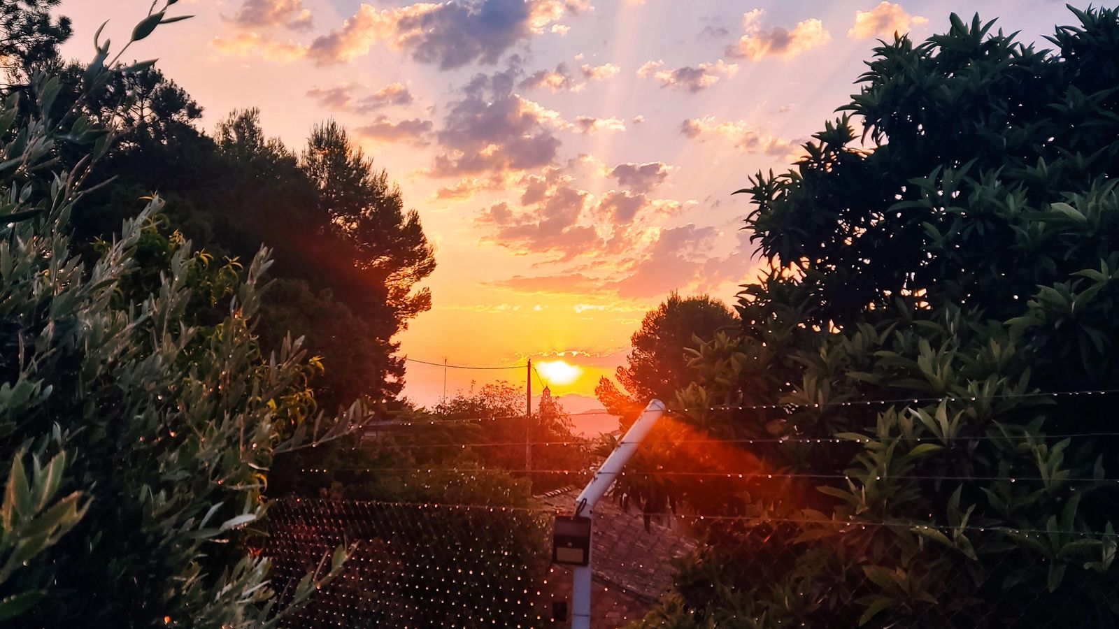 MONTITXELVO, LA VALL D'ALBAIDA