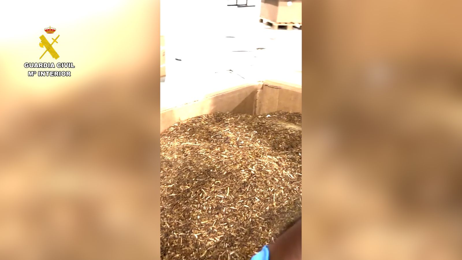 Els cigarrets decomissats en l'operació policial