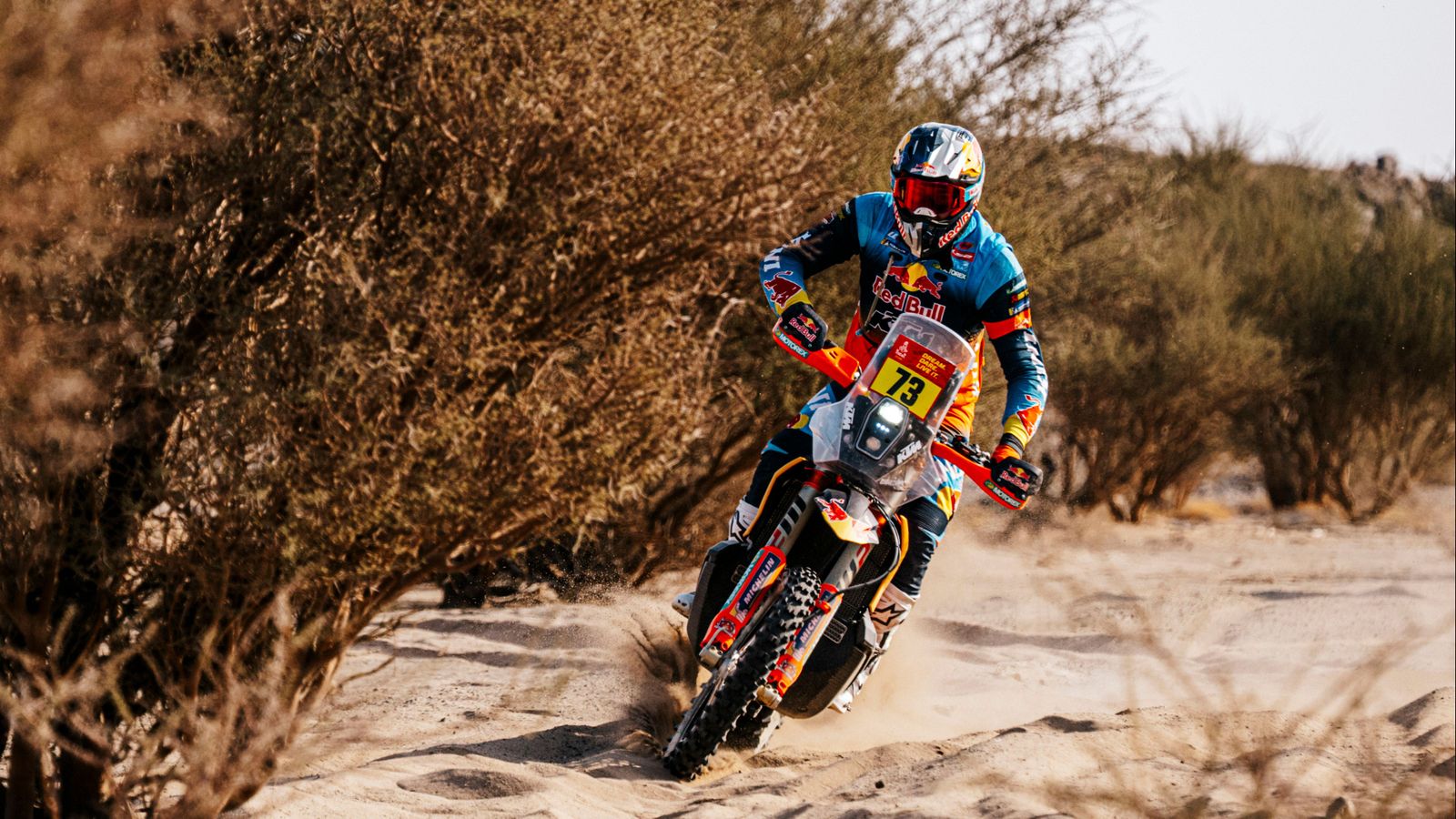Edgar Canet en una de les etapes del Dakar