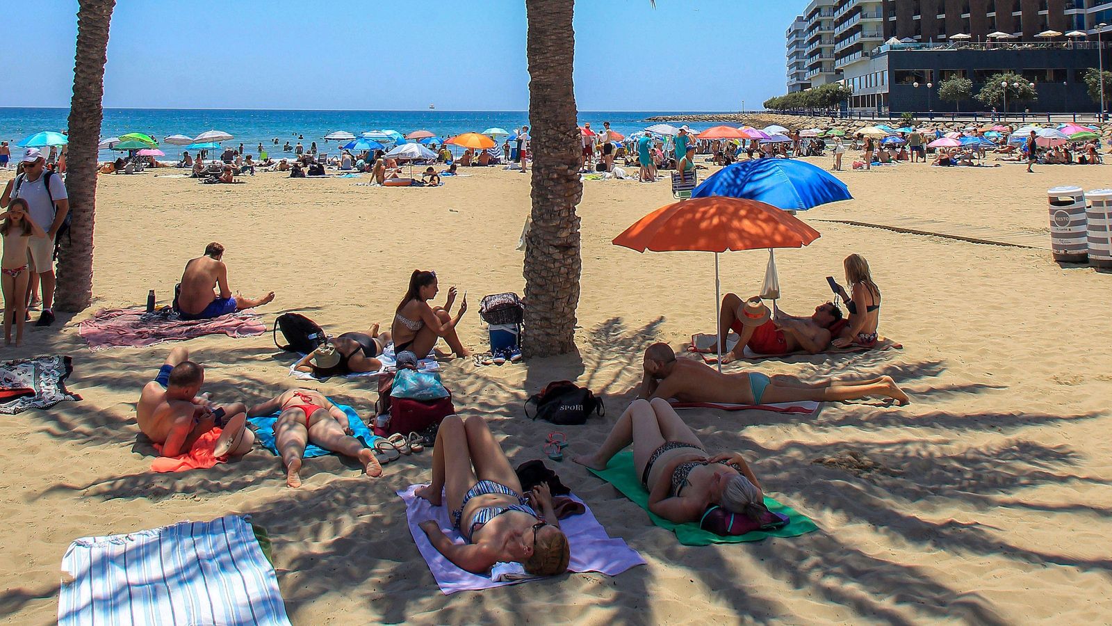 Un grup de persones es protegeix del sol sota l'ombra d'una palmera de la platja de la ciutat d'Alacant