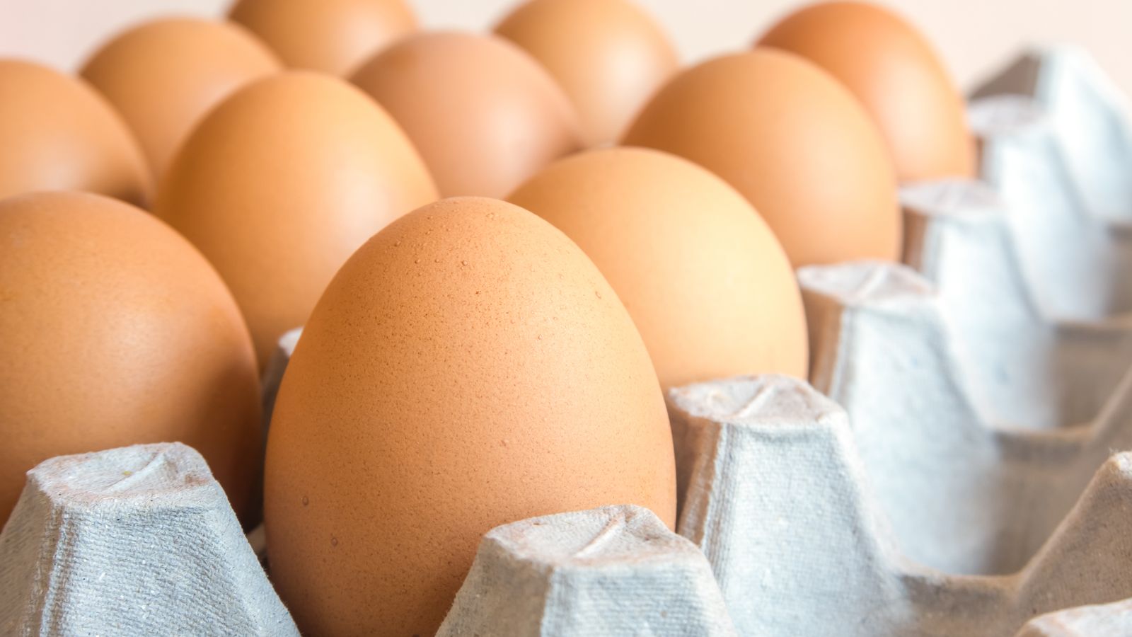 Ous, en una imatge de recurs