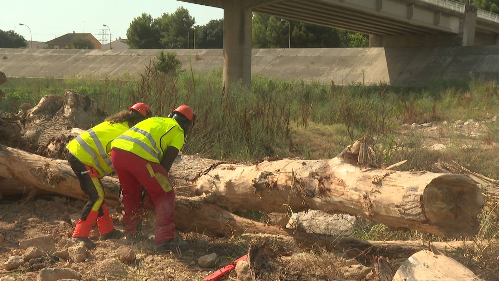 Dos operaris treballen en la neteja del llit del Túria