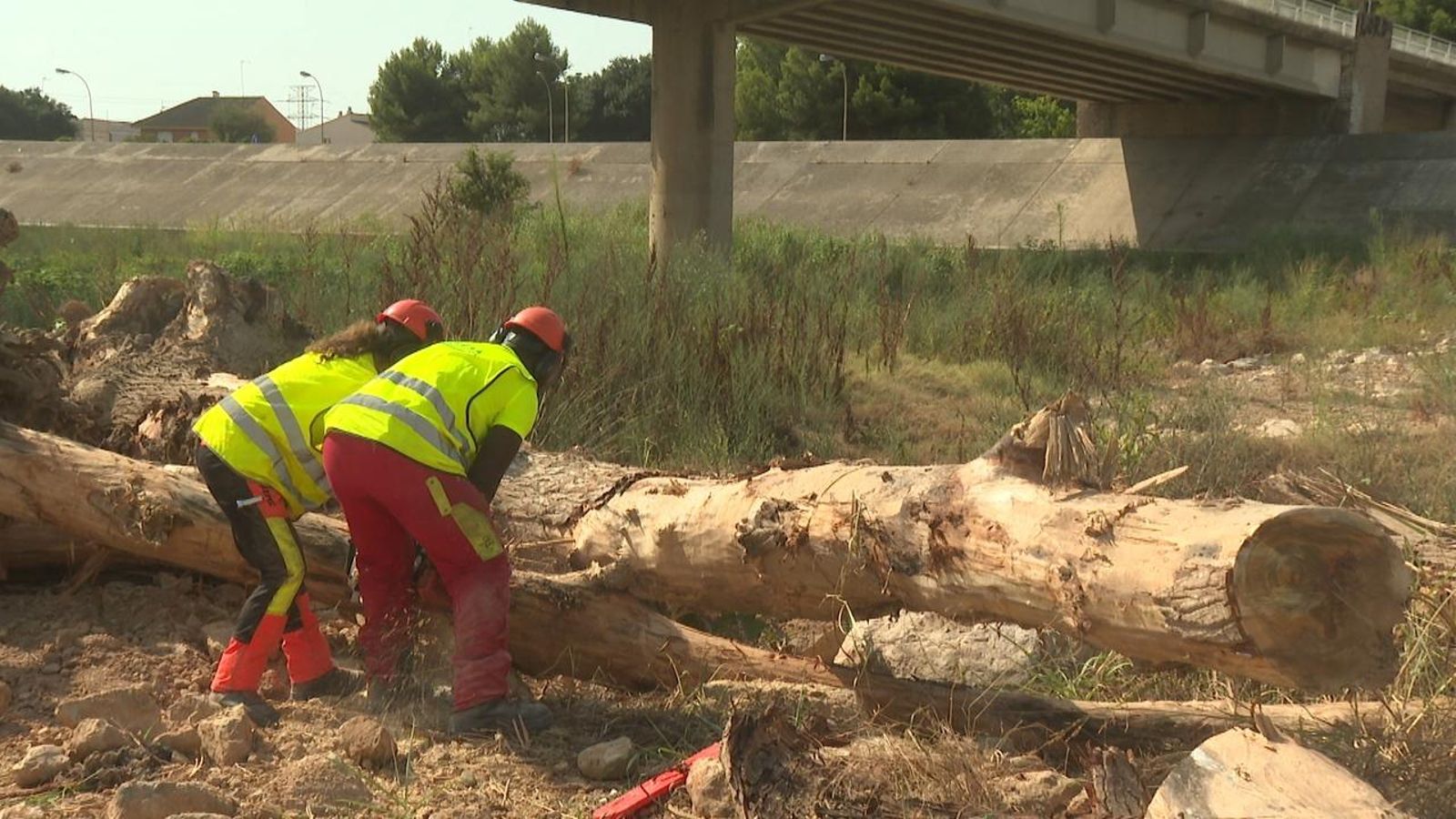 Dos operaris treballen en la neteja del llit del Túria