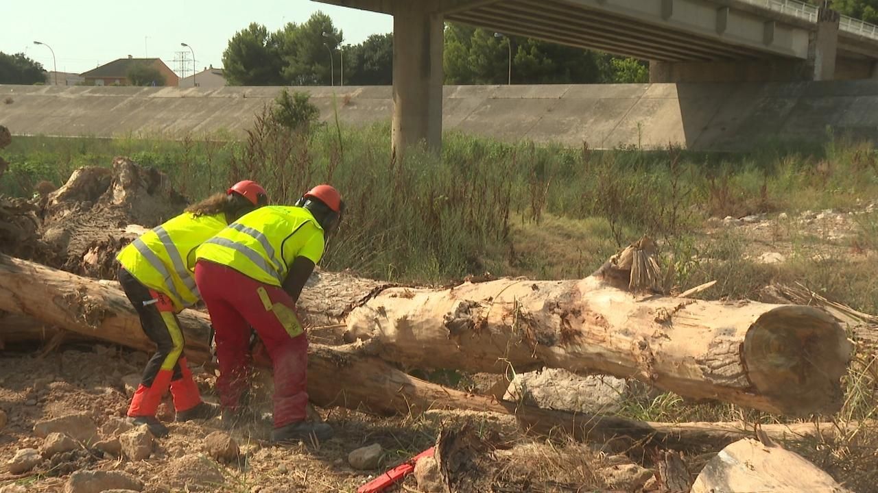 Dos operaris treballen en la neteja del llit del Túria