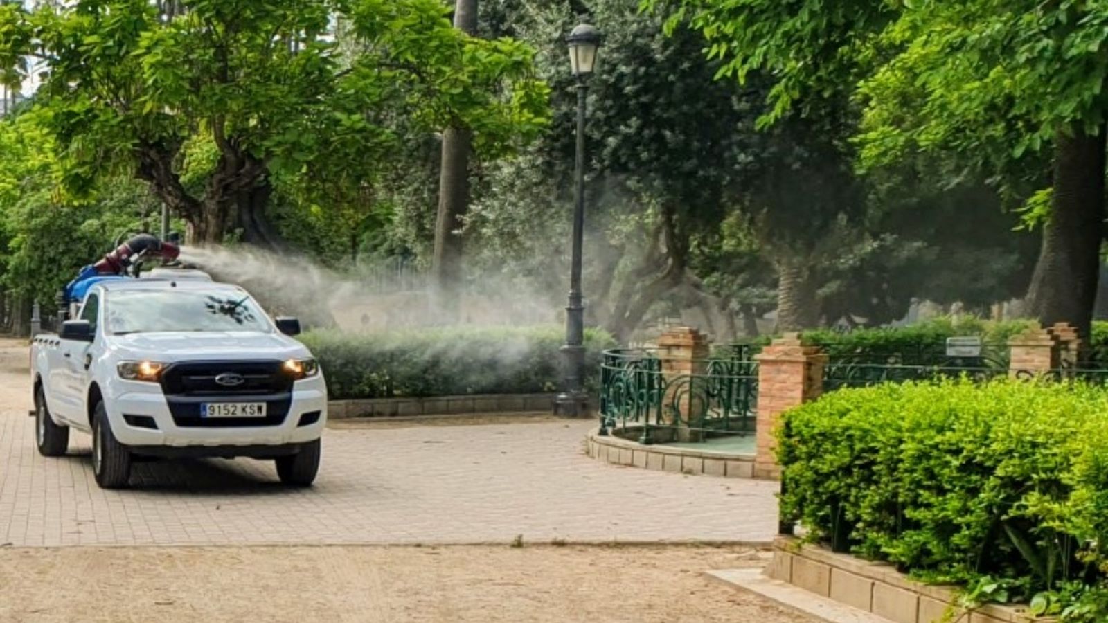 Tractament contra les rantelles a Sueca