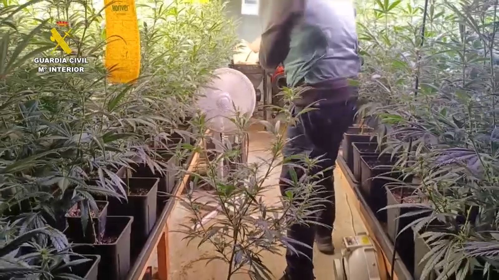 Escorcoll de l'operació Zander de la Guàrdia Civil