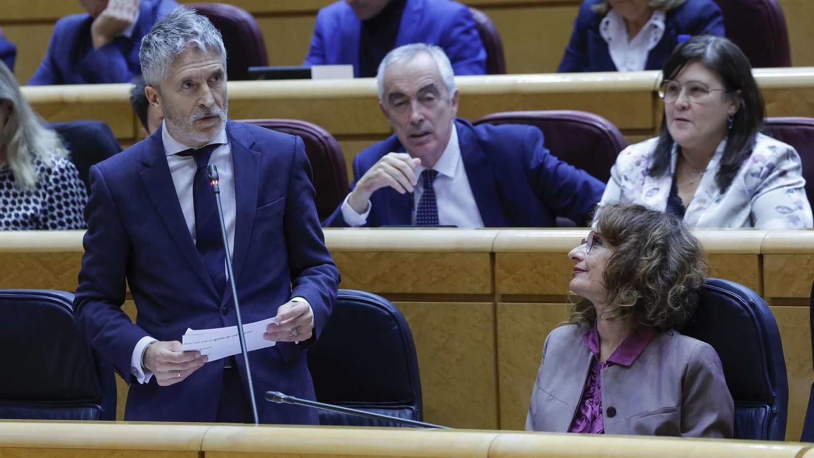 El ministre de l'Interior, Fernando Grande-Marlaska, durant la sessió de control del Senat El ministre de l'Interior, Fernando Grande Marlaska, durant la sessió de control del Senat
