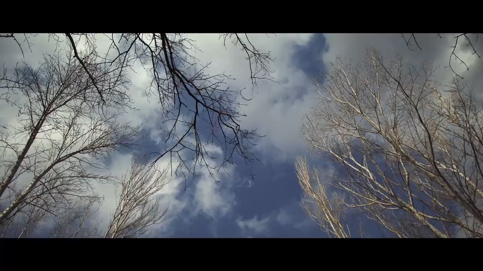 L'hora fosca | Mort a Sot de Xera