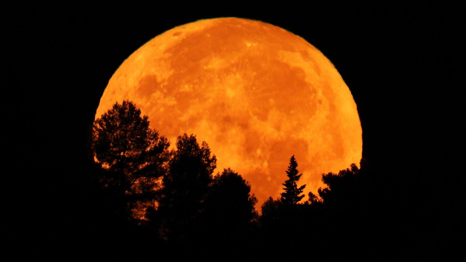 XÀBIA, LA MARINA ALTA