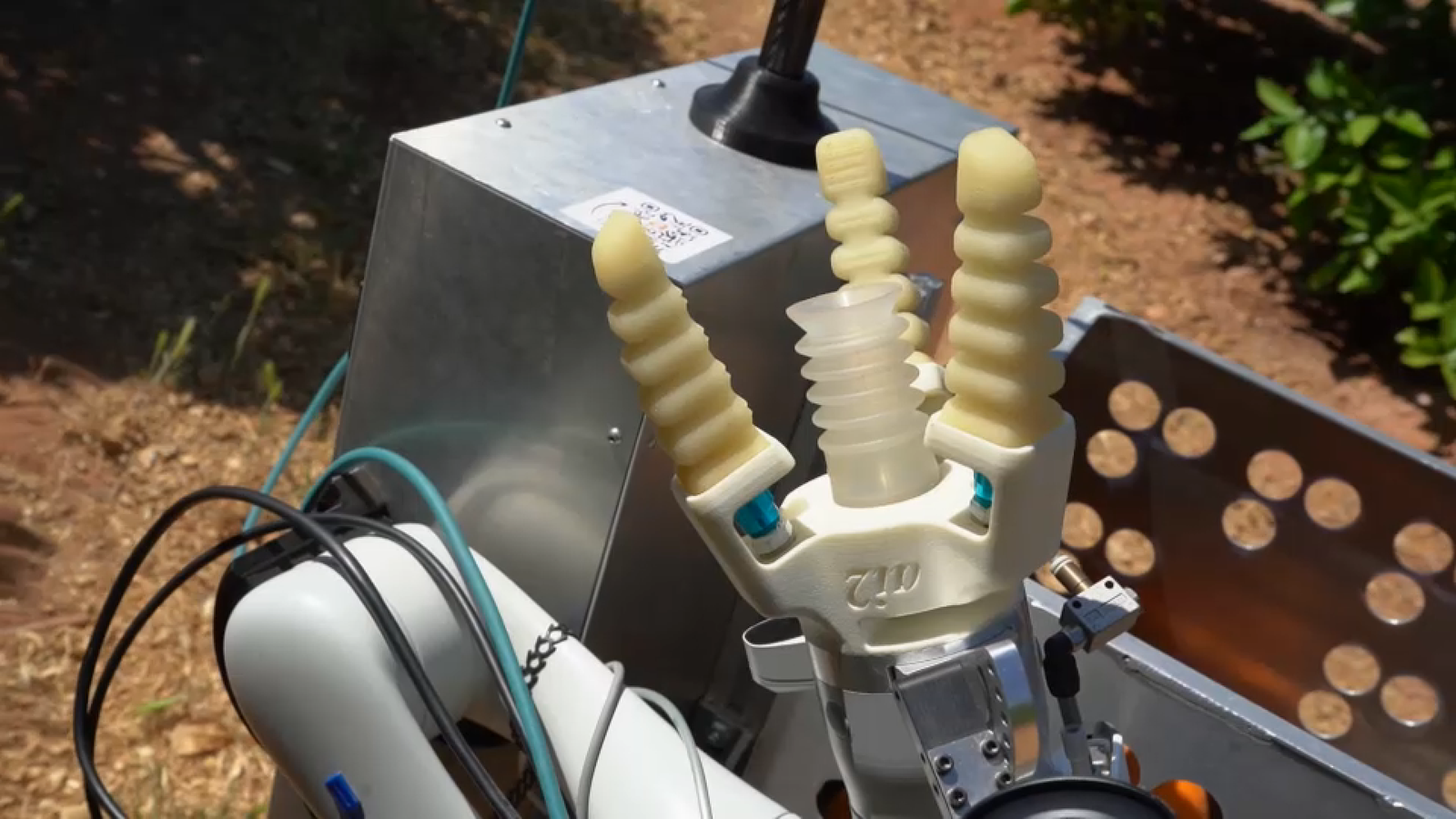 Els 'dits' de Ramonet