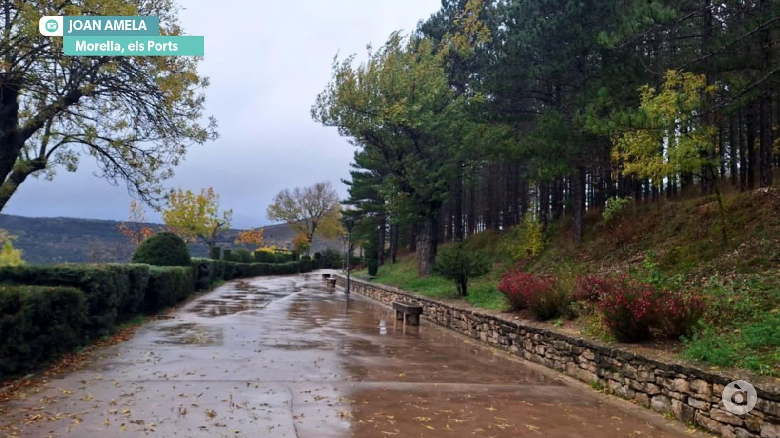 captura 2025 11 08 NIT JAVI XF MORELLA WM