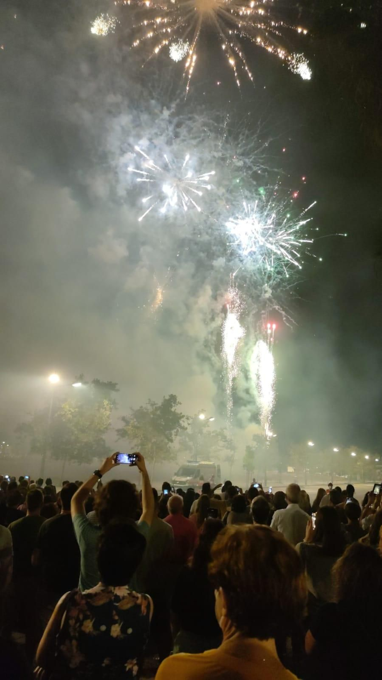 Un grup de persones es reuneix per a gaudir d'un dels espectacles pirotècnics de la Nit del Foc