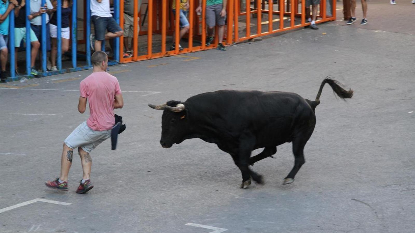 Bous al carrer a Vilafamés