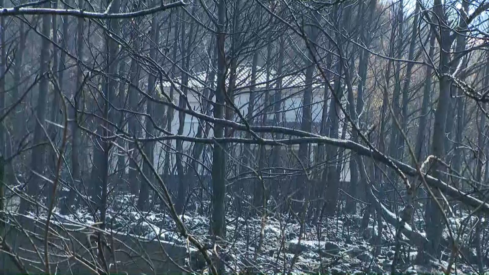 Les fortes tronades debiliten encara més un terreny ja esgotat per les flames