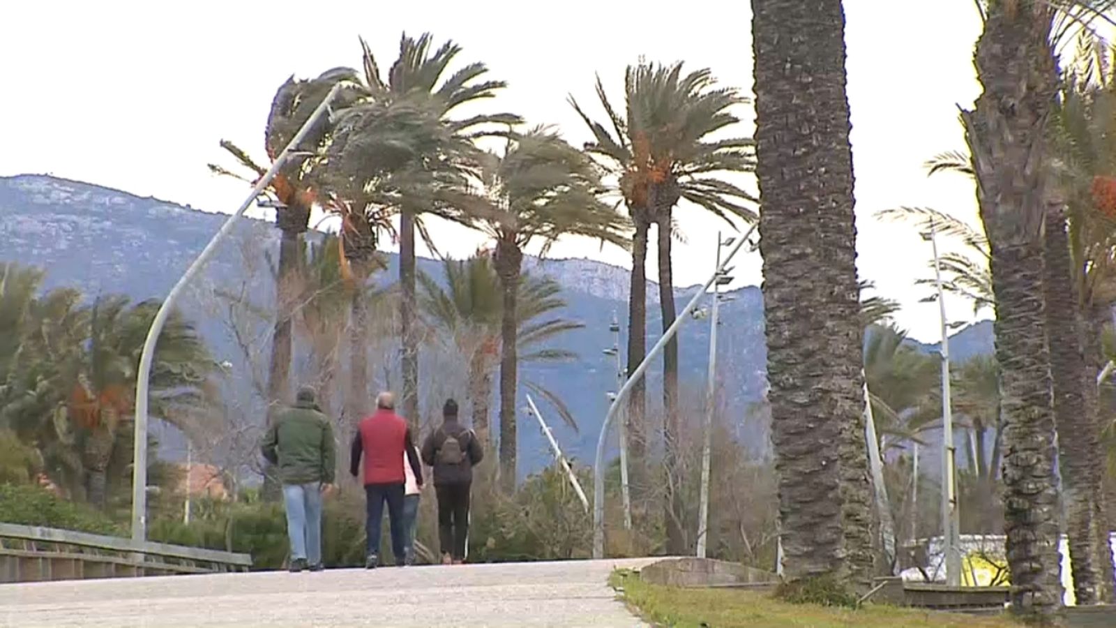 El fort vent a la comarques de Castelló ha obligat a activar l'avís taronja