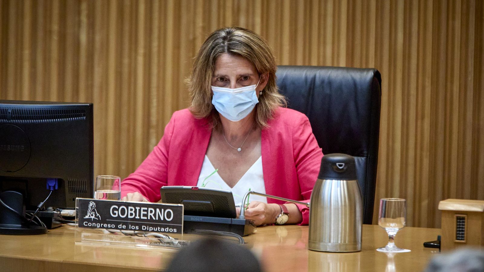 Ribera, aquest dilluns, al Congrés dels Diputats