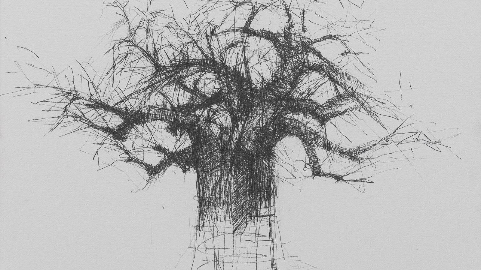 Baobab en la carretera d'Iringa, 2019. Grafit sobre paper muntat en bastidor 65 x 46 cm
