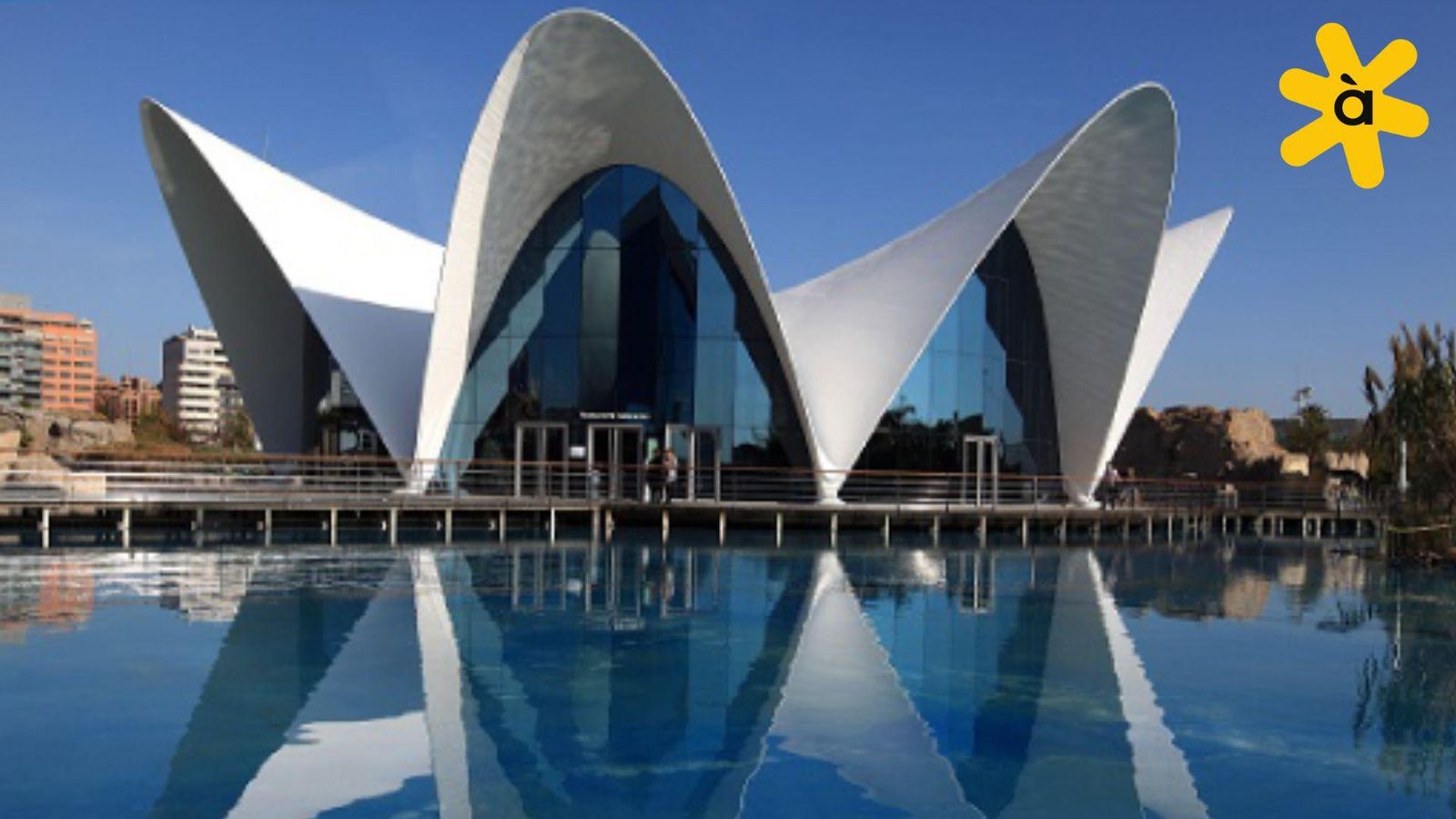 L'Oceanogràfic 2025