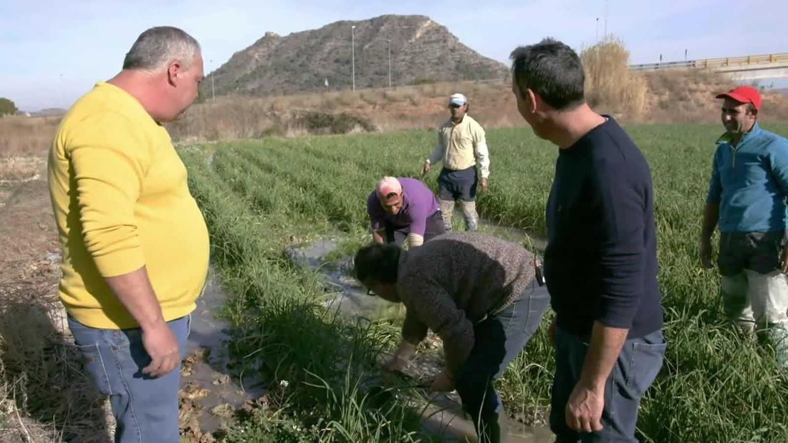 28.08.2018 | Xàtiva - la Costera, “El bressol del Botifarra”