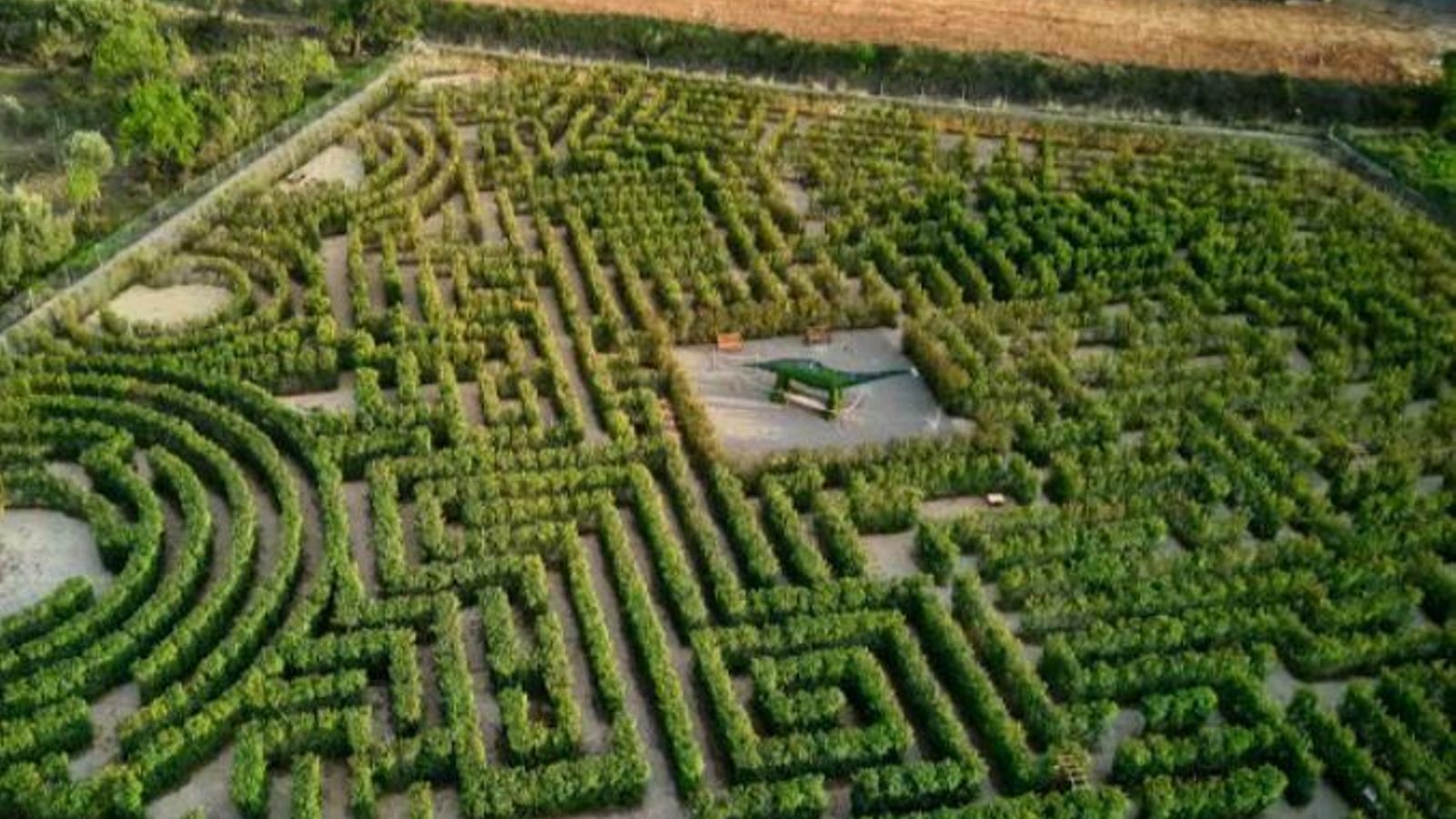 Obri un laberint vegetal a Peníscola
