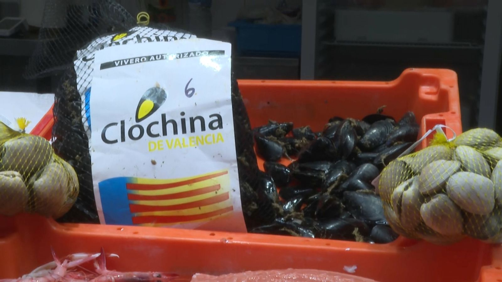 Comença la campanya de la clòtxina