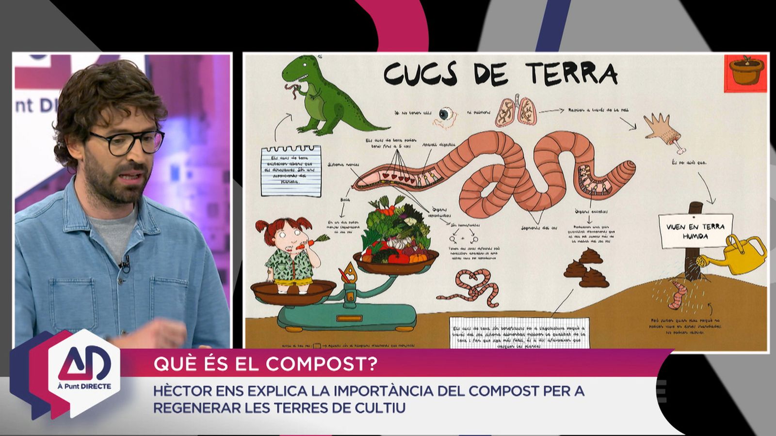 Què és el compost?